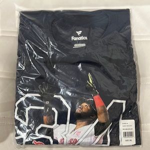 Long Sleeve Fanatics David Ortiz 34 Boston Red Sox